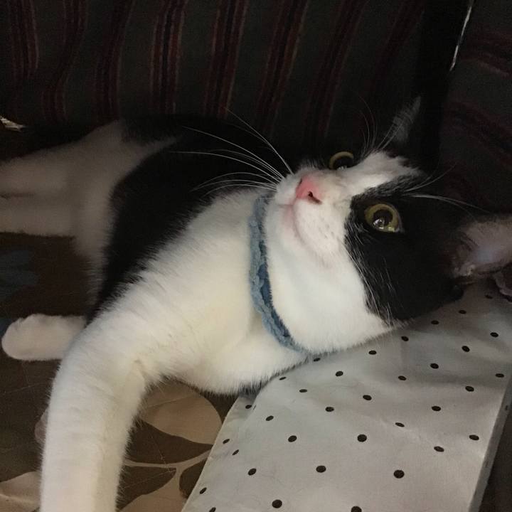 2d9ae4cf 7eaf 4fca aae8 5dfa0533ff17 1664351717957