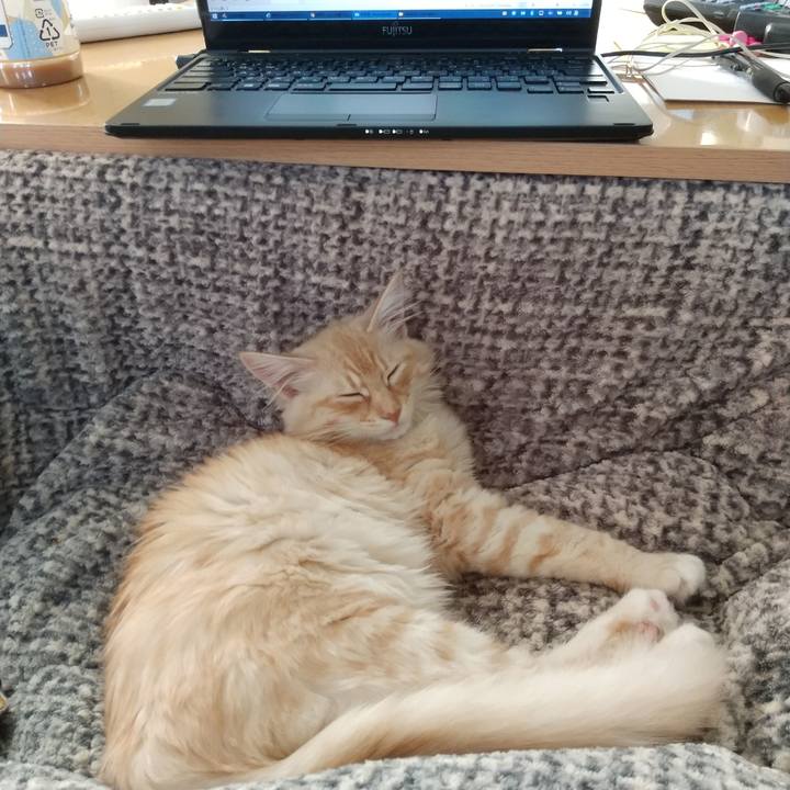 2d9af0c2 f126 498d bd56 abe383c656c4 1608869741906