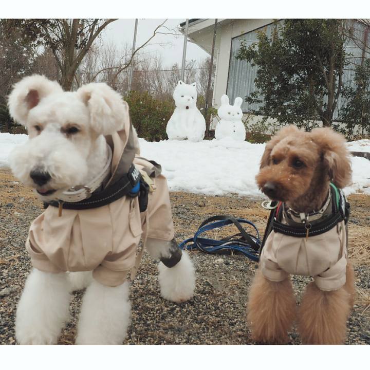 2d9afff3 4dac 4492 b02c 8edaf961b49b 1518331476304