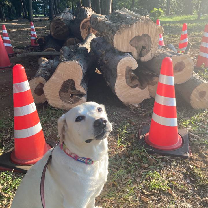 2d9b2826 2a4d 46fe a76d ce34a9e71b1d 1755734094046