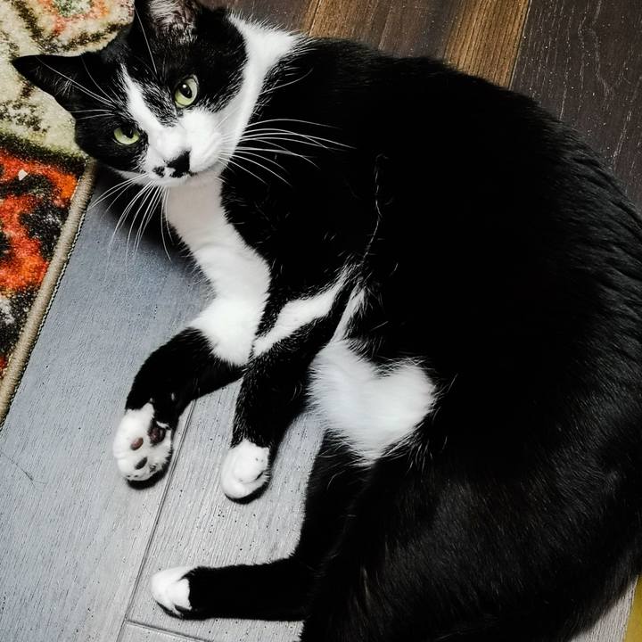 2d9b5ca7 bdab 43d4 84c8 49fc929cd60a 1545825385517