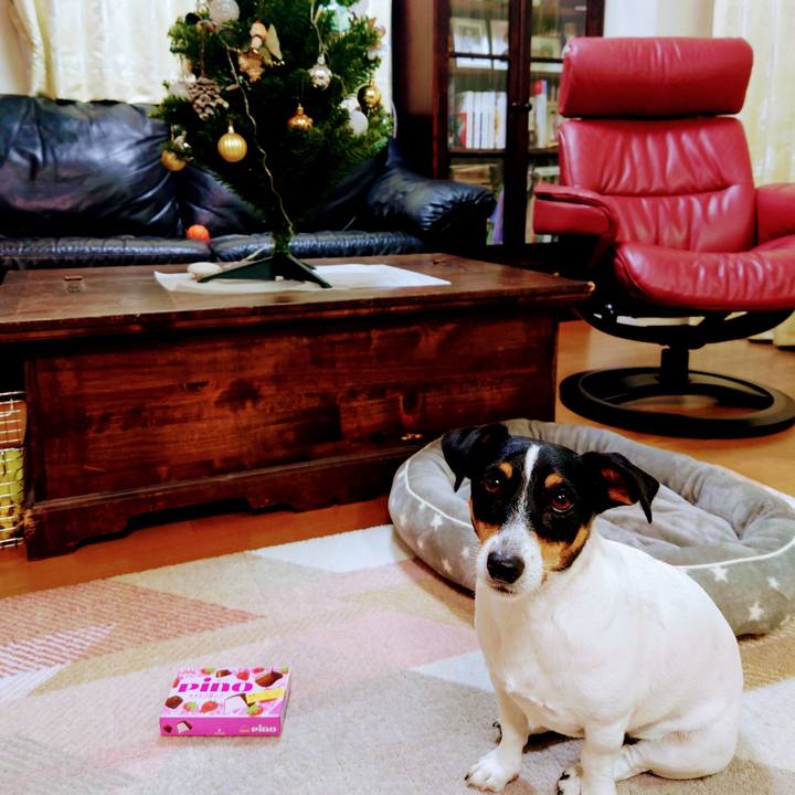 2d9b6fb7 7fb1 4cc1 a625 864520fd8f74 1702646393551