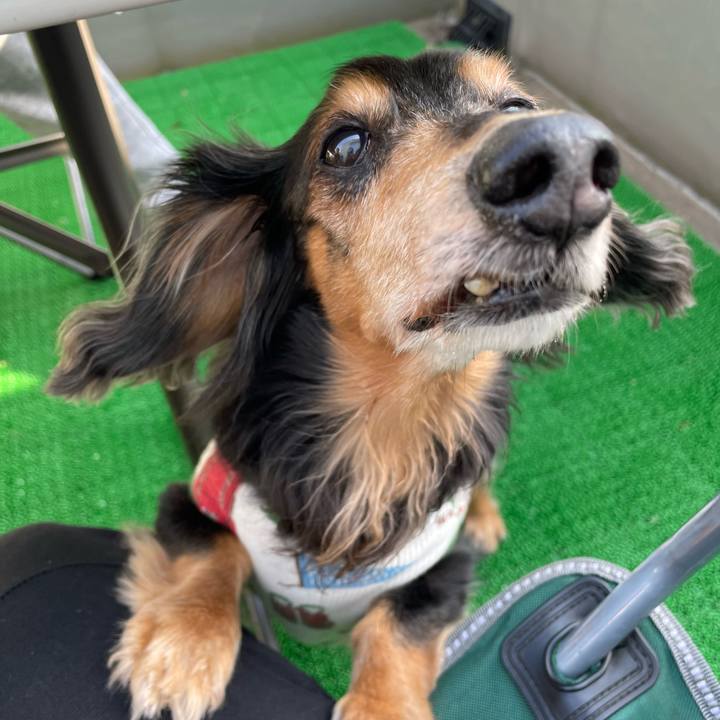 2d9b89bd 1177 4a06 897e b553d41274e6 1651792672713