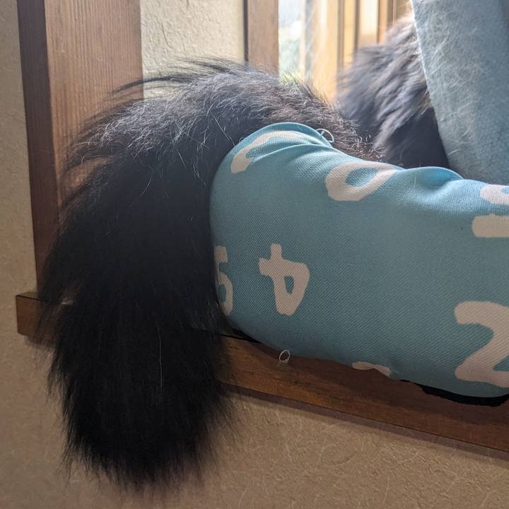 2d9b9f78 73a9 40af 86cf 33eb9b096512 1713074563372