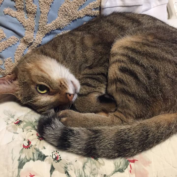 2d9bb651 87e1 4d79 90f7 d713e74fe4d8 1569410896668