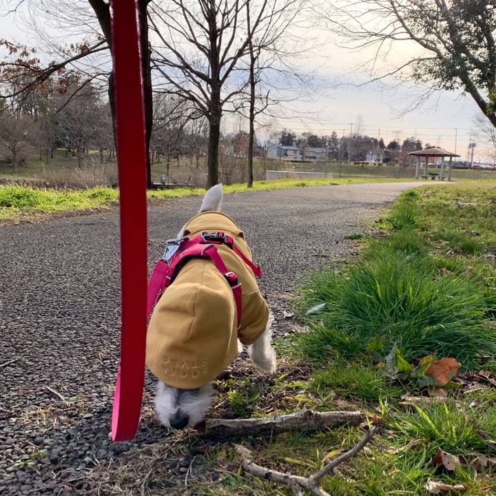 2d9bbbf5 6dc7 45d9 aa10 4c2655f04417 1582956636597