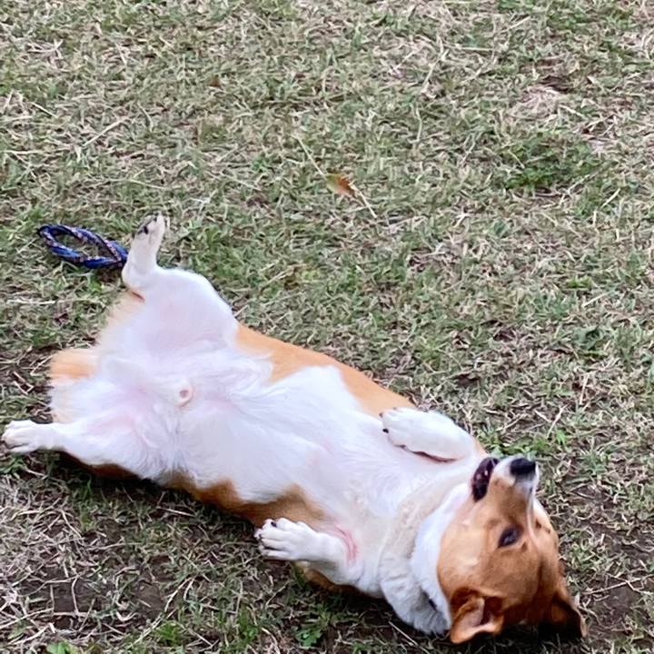 2d9bd609 d610 4276 8ad4 2cbc889d132e 1666921197788