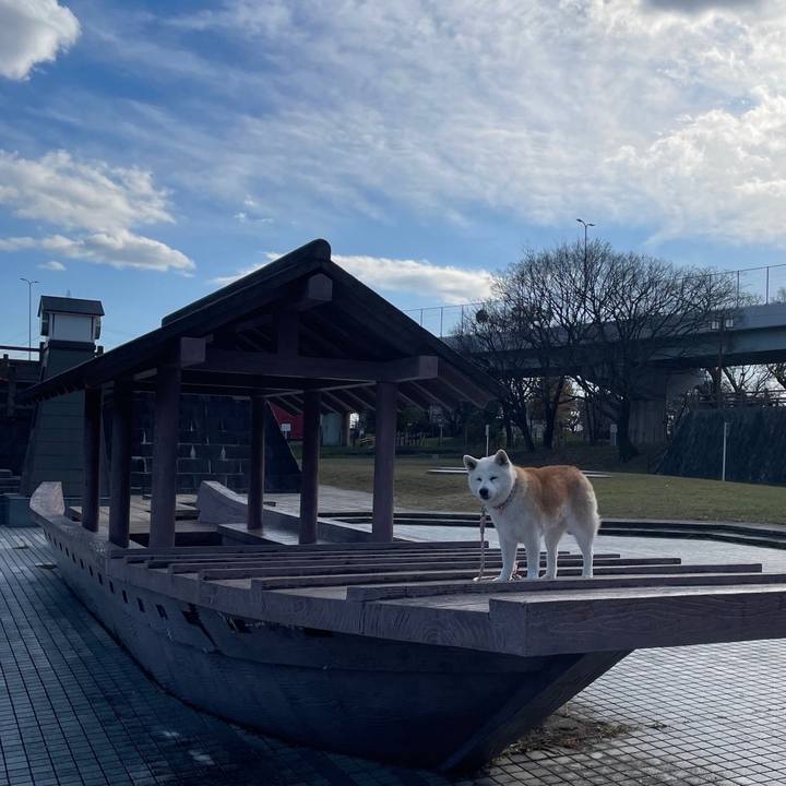 2d9c0e1e 713e 4235 8f61 ca75a225caec 1703324355512