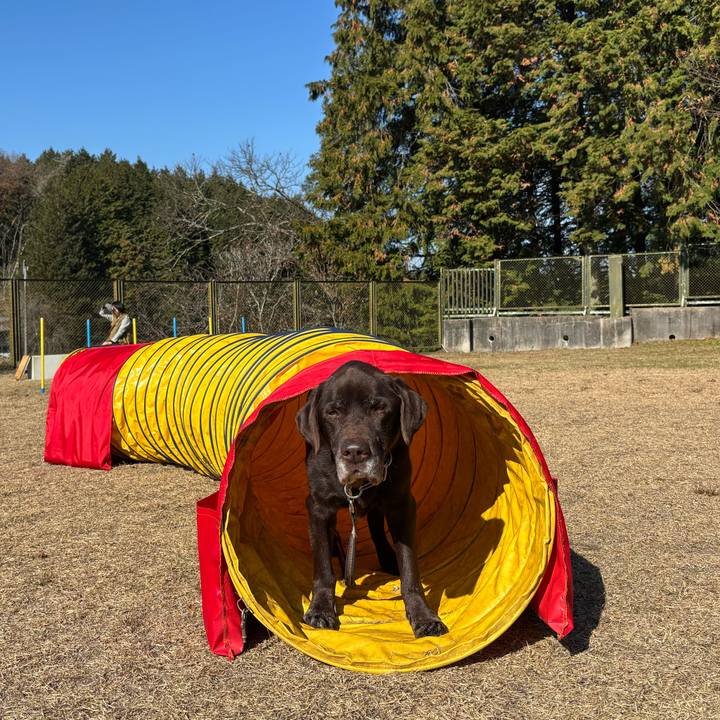 2d9c2536 8f96 4019 9dca da4fa3509436 1765116836333