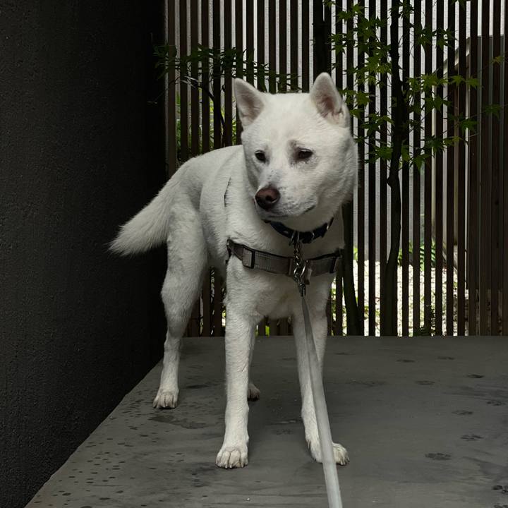 2d9c3991 3b4f 4043 9aa4 35d6e21ac9ac 1682393580566