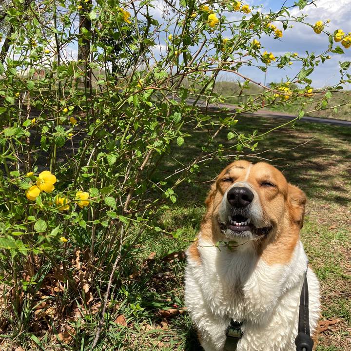 2d9c6764 97e0 4868 8894 88ada39026a7 1744854481425