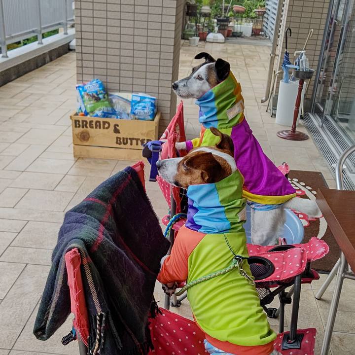 2d9c89bb d24a 418f 9b3e 6a967cb07a1b 1620877977915