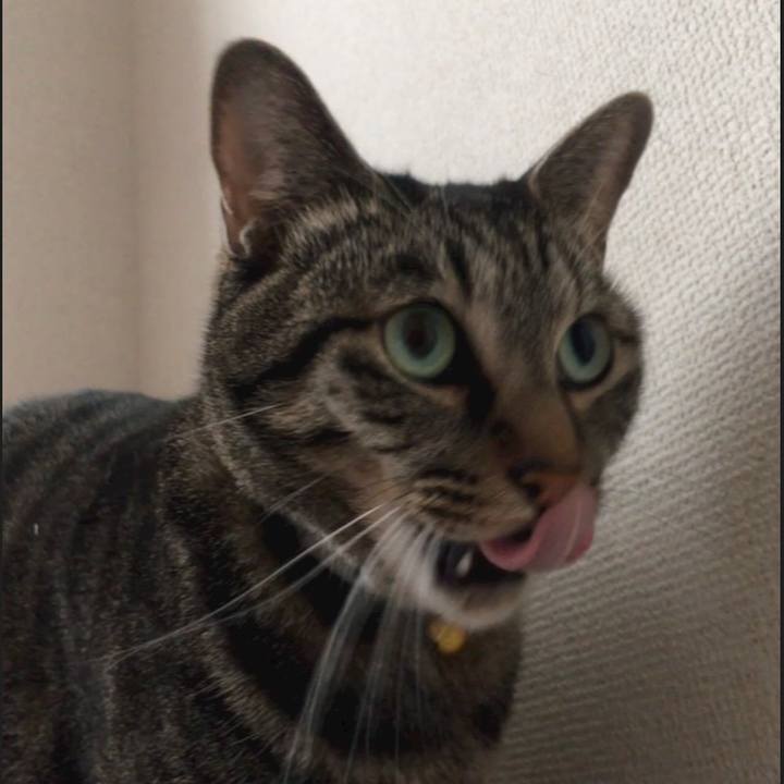 2d9cc0cd f58e 4d89 b72e 5225620b6b51 1571731749881