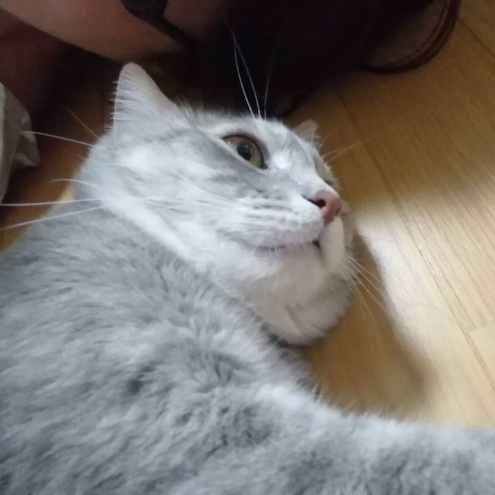 2d9cdb71 36ab 4cd1 8f22 d507d767ec92 1530234577706