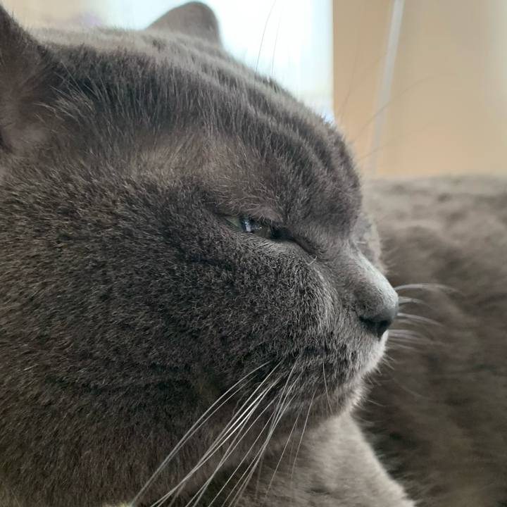 2d9ce902 6082 442d bdb6 6b54bfdac296 1704501864530