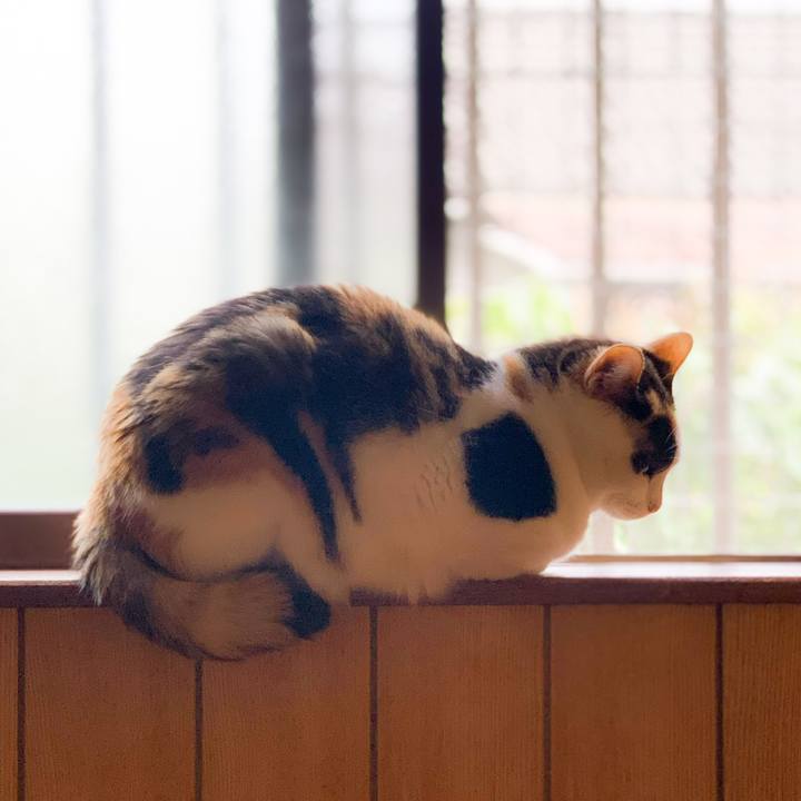 2d9d13a9 517e 4117 8433 79de62724c56 1593740369544