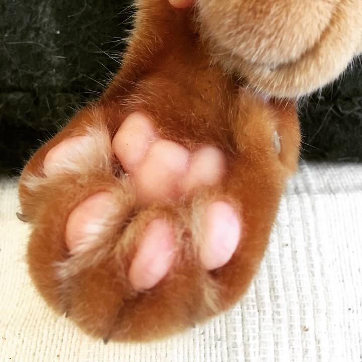 2d9d7440 3578 42de 9d16 2a6ccbf15c98 1526866847646