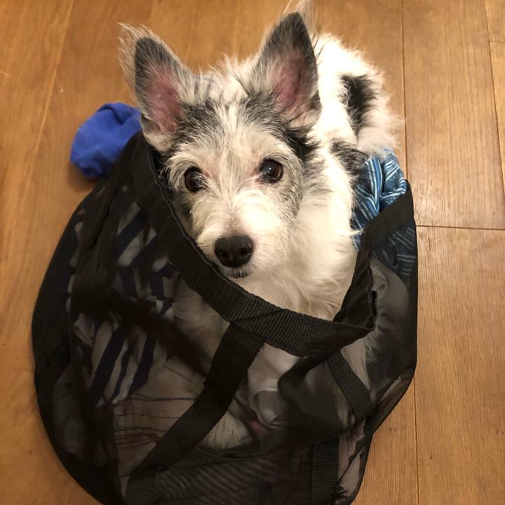 2d9d8efa 35e4 4537 8fad 521449d2dbeb 1576327934150