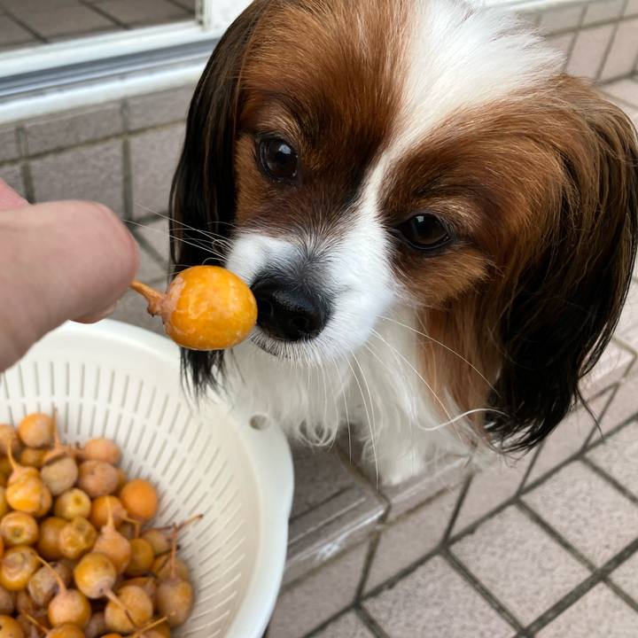 2d9dadae 646a 45d6 9bcf f5d96d3f85c8 1698477034362