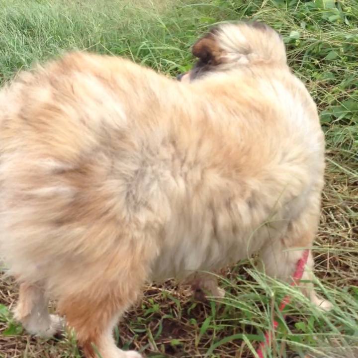 2d9dd35f 0a81 48c9 8fb5 c72df6f649f9 1653544066803