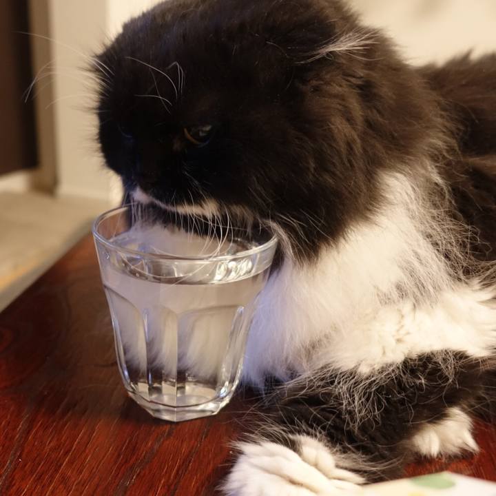 2d9df87a 0e21 4245 bbd1 b59fc5b235fd 1534431127493