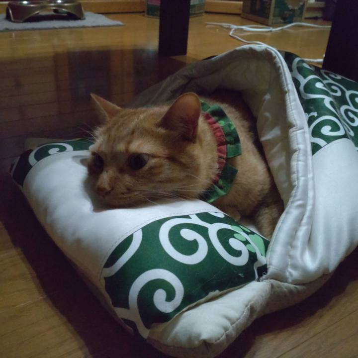 2d9e15af c531 44ec aaf5 b3a42518cc82 1658317670460