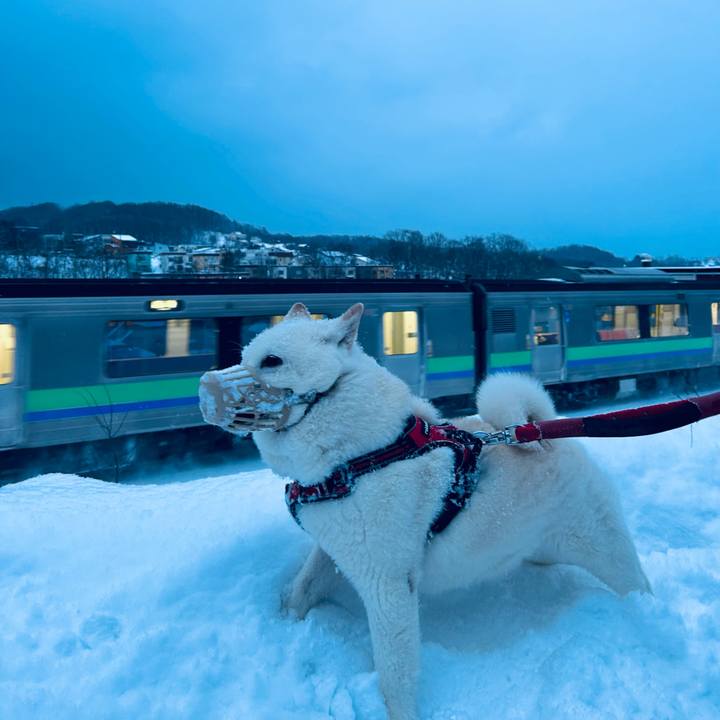 2d9e1e97 7a8f 4572 a27f 3dc39705cba4 1767479761836