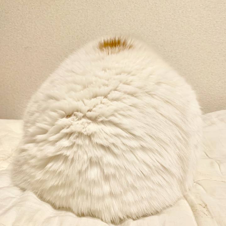 2d9e41d3 d006 4b1e b025 658f9e48435e 1563287210020