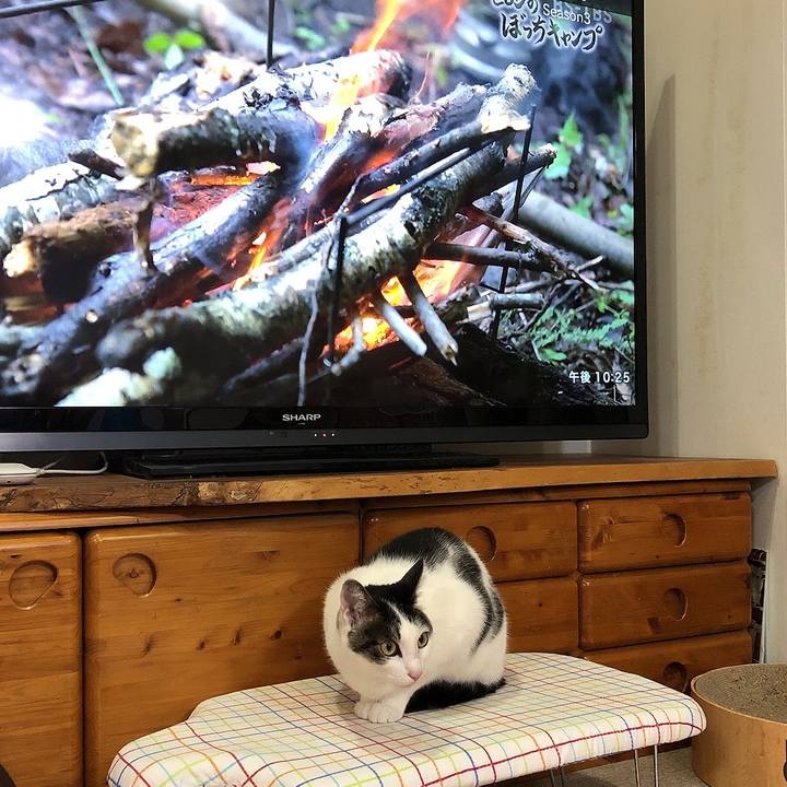 2d9e42c1 cfaa 4910 bc44 46e1d52eb665 1650461274793