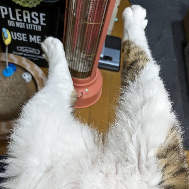 2d9e542c 31a1 4600 a4a9 fdceb6808058 1706137434429