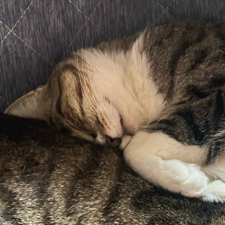 2d9e9140 016e 4215 b62b a534b56e53fe 1650977791928