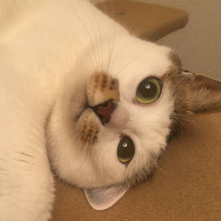 2d9e9cd8 2c1c 44df a357 168daeb55163 1615894557532