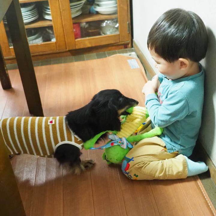 2d9ee277 b1c9 4f79 b8d0 160a1879853f 1760859053790