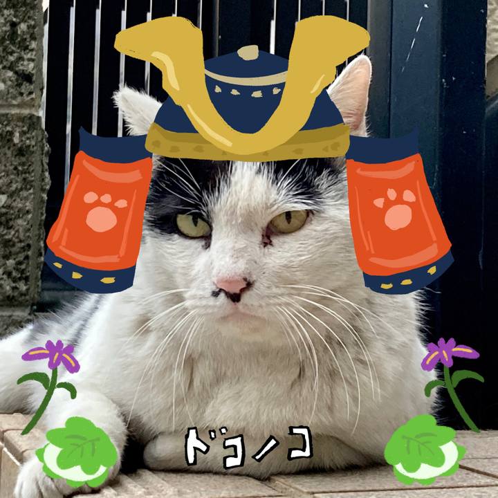 2d9f0e67 f852 4829 bd1c 2995e14dd779 1714889466595