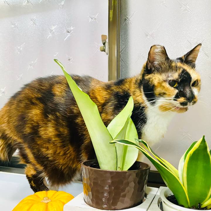 2d9f33b5 d65c 47d2 995f 911998ebf416 1675552567626