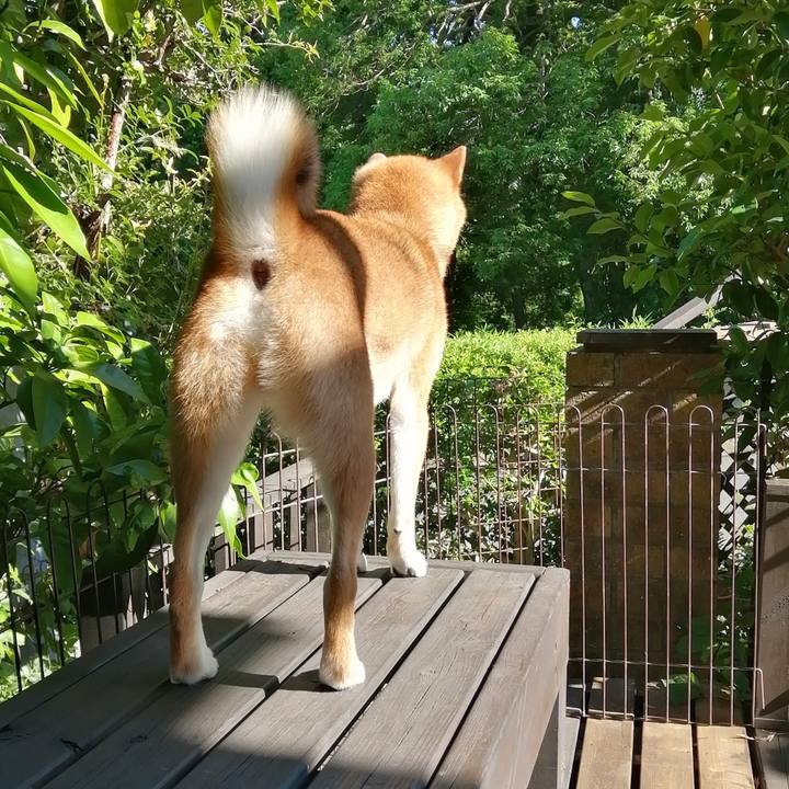 2d9f6922 b96c 48f7 bcdd f306a0535fe9 1591783246024