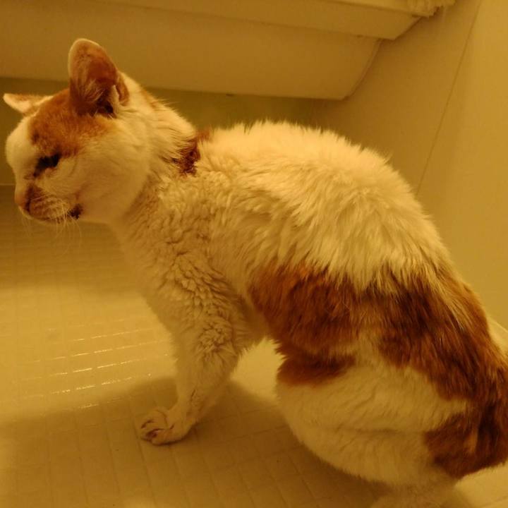 2d9f734c c7a8 4c67 aca1 28a60c85b154 1620641700690