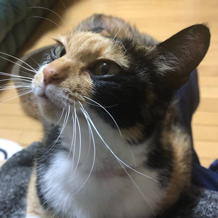 2d9f84d3 504e 40bf 9b30 f99a1943bfe3 1587901610451