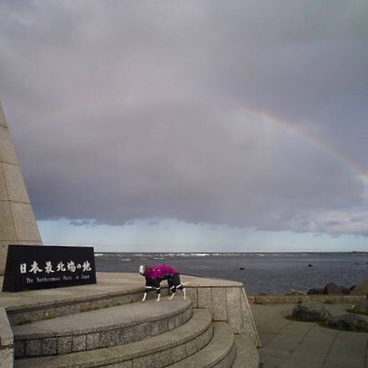 2d9fd71f c4ee 4035 a2e6 92c65ad2a925 1543314788172