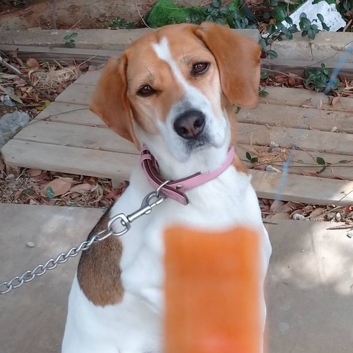 2d9ff97d 6da3 486d 9f6b 9fe6065cdb54 1583386648609