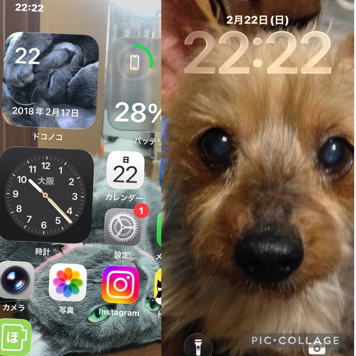 2da01bf2 c170 4409 b18c 8e93f4983cab 1771766961212