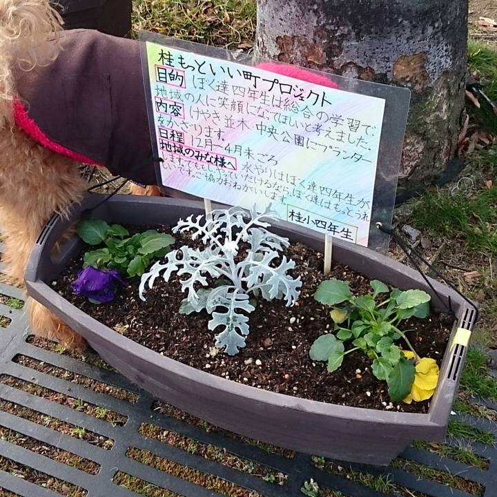 2da03ba4 df42 4e17 90a6 61ea0df83ae7 1513914802616