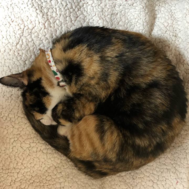 2da055a7 5307 4875 a56a 586f0e5399a9 1584120322414