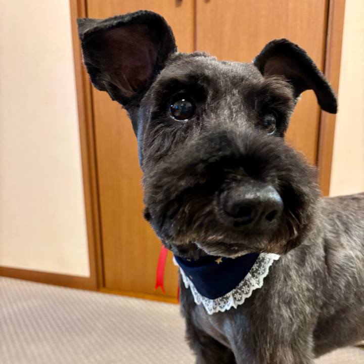 2da0622d f3ef 4fa4 908b 6a482682c945 1753599178278