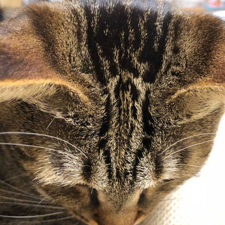 2da07ea7 d43f 4358 bb23 897cb6011162 1523057857495