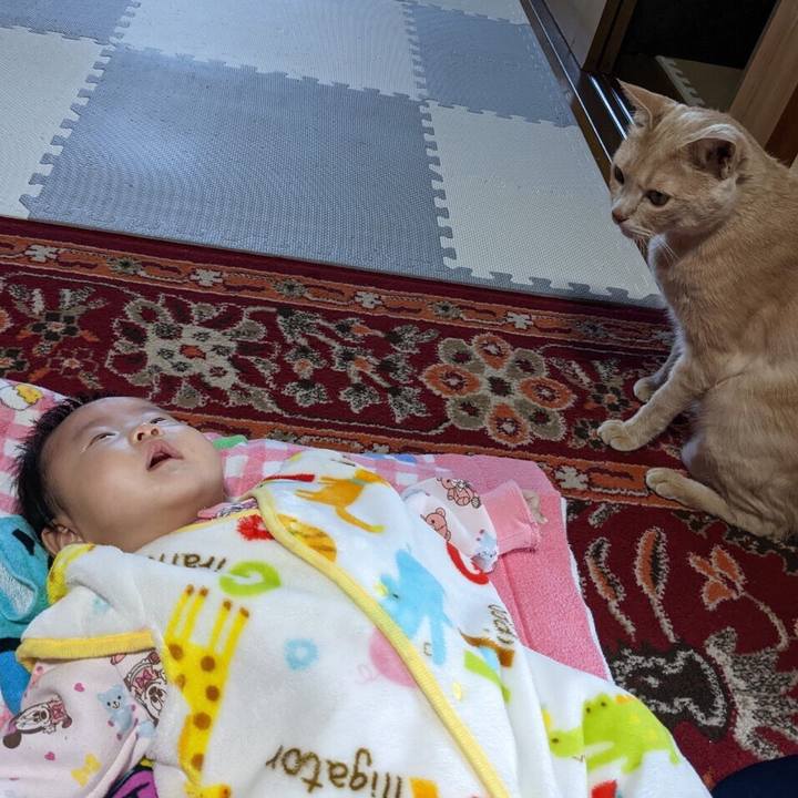 2da07f34 b3c2 4de3 8388 7d62fb868e0b 1666953011954