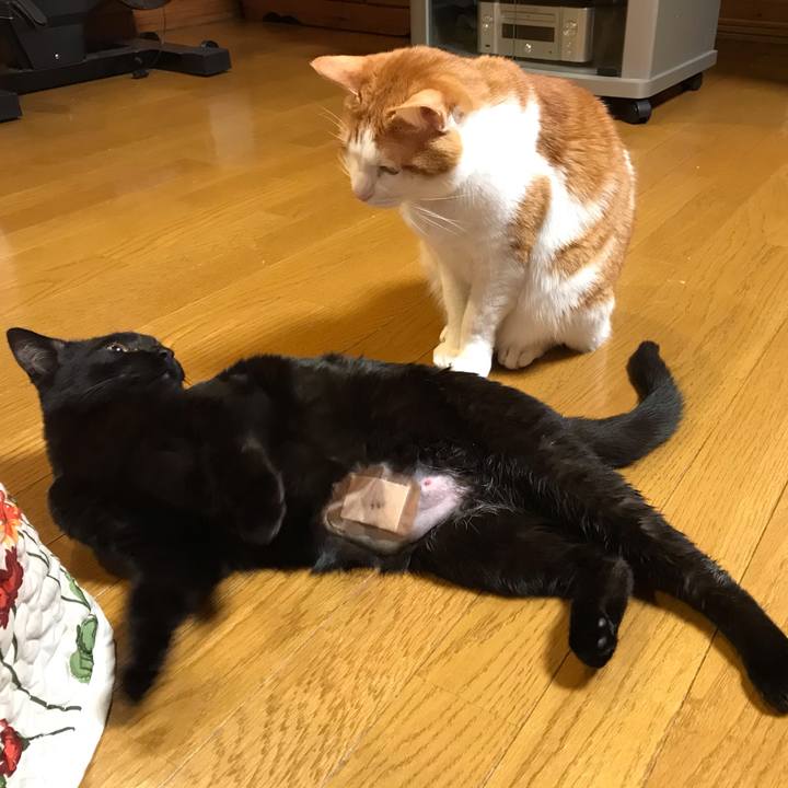 2da093dd bcba 4b24 be02 281b034ae76b 1578471281307