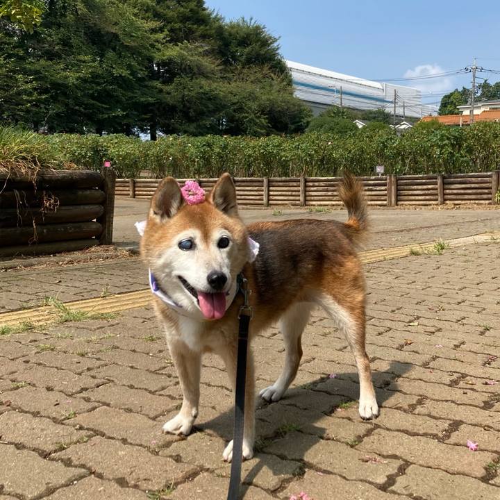 2da0d7a1 8b82 4f1a b91d 41471ecbae39 1757388698296