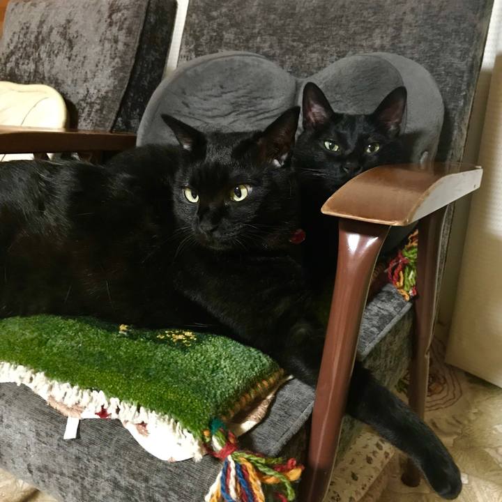 2da0e85d e5aa 4410 a1c1 a58688555462 1554474103247