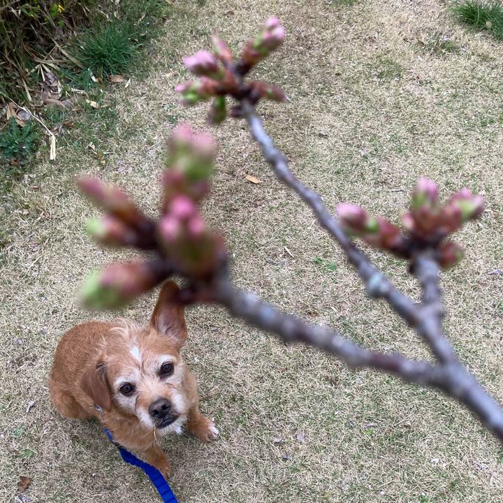 2da0ee32 3ce3 4a2a 989e 52e5c6d41502 1679044678364